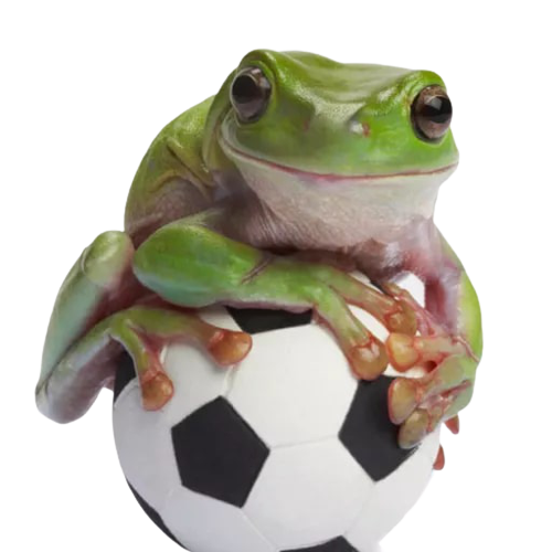 toadpfp